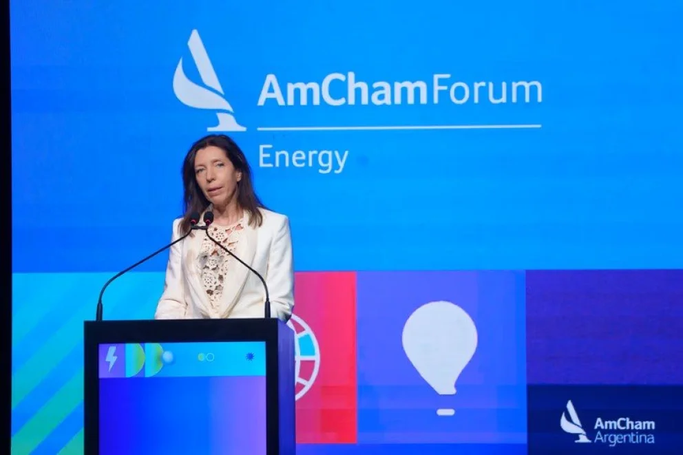 Mariana Schoua, presidenta de AmCham
